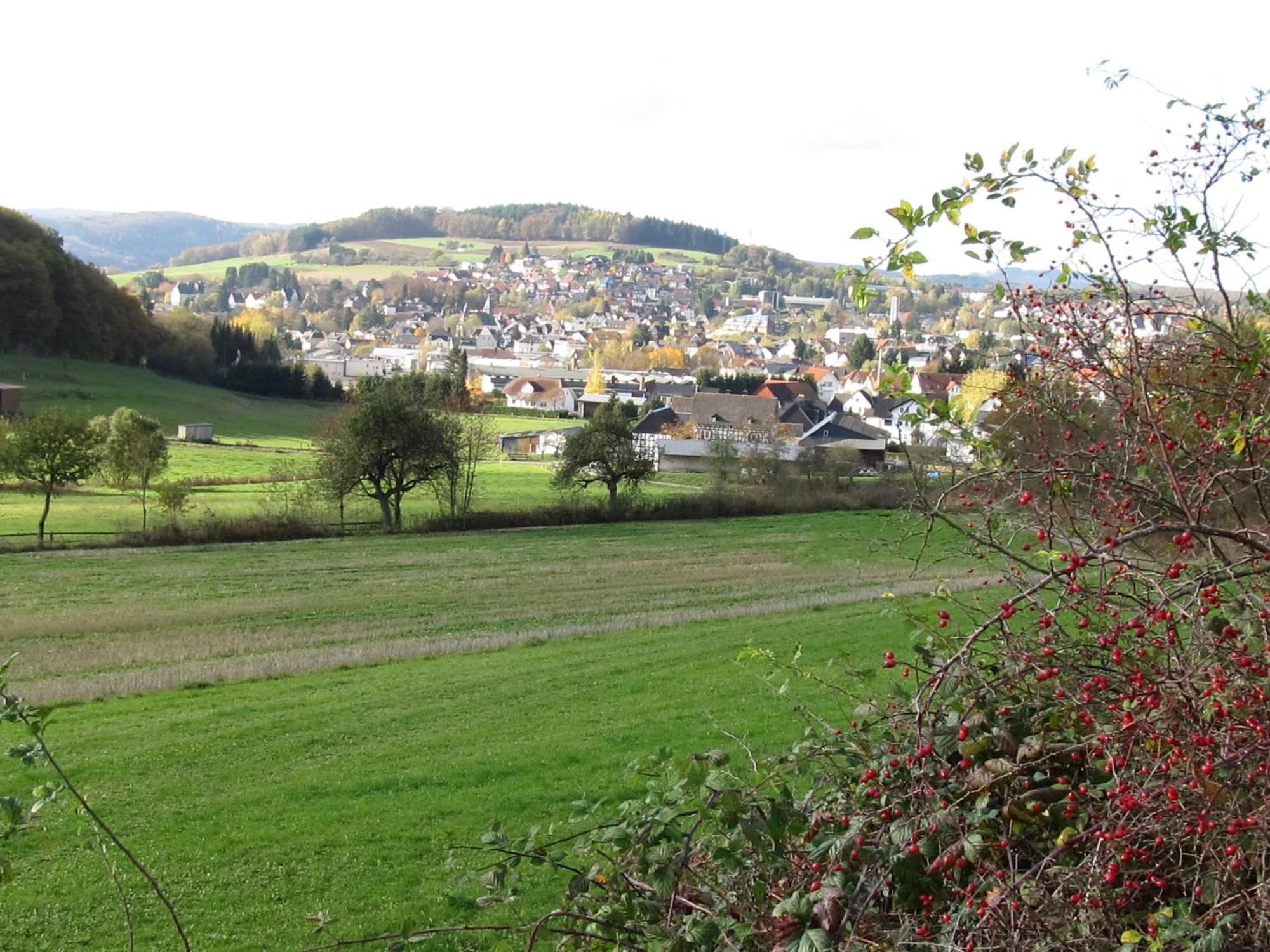 Zum Treppche Hotel Garni Gladenbach Luaran gambar